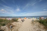 Urlaub Ferienwohnung F: Haus Sanddorn Whg. 04 Strandläufer mit Südterrasse