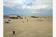 Urlaub St. Peter-Ording Ferienhaus 100905 privat