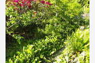 Urlaub Alsbach Ferienhaus 101460 privat