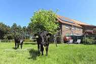 Urlaub Bauernhof Ferienhof Janssen in Westerholt