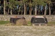 Urlaub Göhren (Ostseebad) Ferienwohnung 106824 privat