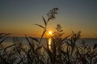 Urlaub Göhren (Ostseebad) Ferienwohnung 107581 privat