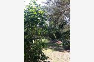 Urlaub Hoppenwalde Ferienwohnung 109310 privat
