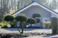 Urlaub Niebüll Ferienwohnung 110856 privat