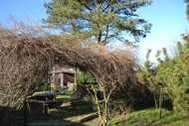 Urlaub Vitte/Insel Hiddensee Ferienwohnung 114447 privat