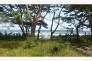 Urlaub Binz (Ostseebad) OT Prora Ferienwohnung 118079 privat
