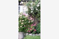 Urlaub Stoltebüll Ferienwohnung 118161 privat
