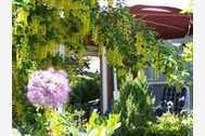 Urlaub Schönhagen (Ostseebad) Ferienhaus 11962 privat