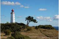 Urlaub Ferienwohnung Ferienzimmer unterm Reetdach in Plogshagen/Hiddensee