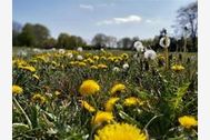Urlaub Varel-Dangast Ferienwohnung 122586 privat