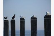 Urlaub Nordseeheilbad Horumersiel Hotel 122645 privat