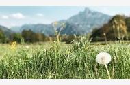 Urlaub St. Lorenz am Mondsee Ferienwohnung 122669 privat