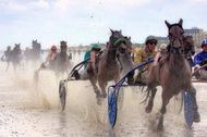 Urlaub Cuxhaven OT Duhnen Ferienwohnung 123197 privat