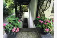 Urlaub Fischbachtal-Billings Ferienwohnung 123584 privat