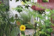 Urlaub Karlshagen (Ostseebad) Ferienwohnung 12632 privat