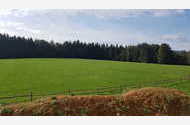 Urlaub Warngau Ferienwohnung 126416 privat
