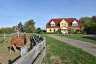 Urlaub Kühlungsborn (Ostseebad) Ferienwohnung 126959 privat