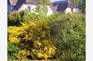 Urlaub Loddin (Seebad) Ferienwohnung 127580 privat