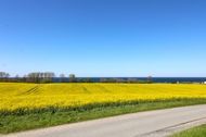 Urlaub Rerik (Ostseebad) Ferienwohnung 127739 privat