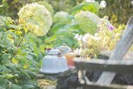 Urlaub Hesel Ferienwohnung 127832 privat