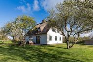Urlaub Utersum Ferienhaus 128495 privat