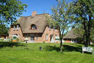 Urlaub Utersum Ferienhaus 128658 privat