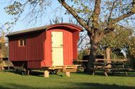 Urlaub Bauernhof Schäferwagen im Leipziger Neuseenland