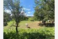 Urlaub Wittenbeck Ferienwohnung 131999 privat