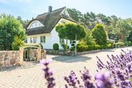 Urlaub Loddin OT Stubbenfelde Ferienhaus 132453 privat