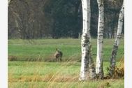 Urlaub Ferienwohnung Herzfeldhof Worpswede