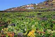 Urlaub Fuencaliente Ferienhaus 132631 privat