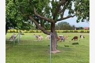 Urlaub Rubkow Ferienhaus 132641 privat