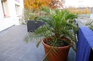 Urlaub Zinnowitz (Seebad) Ferienwohnung 133345 privat