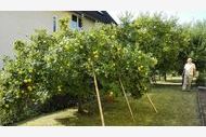 Urlaub Ferienwohnung Haus Victoria Marburg/Lahn WE13339