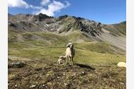 Urlaub Ferienwohnung Berghoamat Nauders