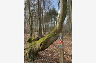  Unterkunft Objektbild