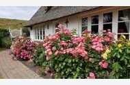 Urlaub Ferienhaus Haus Husen