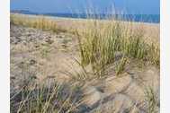 Urlaub Damp Ferienwohnung 136599 privat