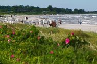 Urlaub Ferienwohnung Ferienwohnung Birk