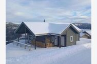 Urlaub Vradal Ferienhaus 138905 privat
