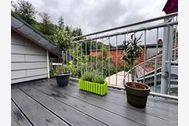 Urlaub Ferienwohnung Bienenhof Illers