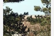Urlaub St. Peter-Ording Ferienwohnung 139934 privat