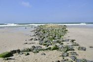 Urlaub Sylt/Westerland Ferienwohnung 141098 privat