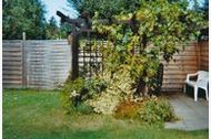 Urlaub Zinnowitz (Seebad) Ferienwohnung 142340 privat