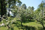 Urlaub Bad Saarow Ferienwohnung 142479 privat