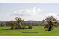 Urlaub Ulrichshusen Ferienwohnung 142809 privat