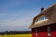 Urlaub Zierow Ferienhaus 142868 privat