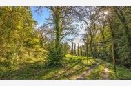 Urlaub Arezzo Ferienhaus 142883 privat