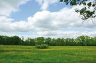 Urlaub Burg (Spreewald) Ferienwohnung 143231 privat