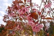Urlaub Hollfeld-Wohnsdorf Ferienwohnung 144860 privat